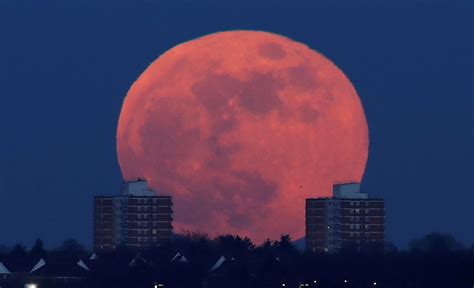 Blue supermoon photos: See images from around the world